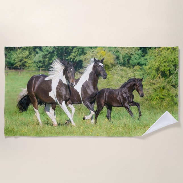 Barock Pinto Horses Herd with Cute Foal Galloping  Beach Towel (Front)