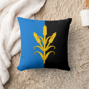 Barony of Saint Swithin's Bog Populace Badge Cushion