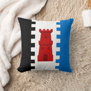 Barony of South Downs Populace Badge Cushion