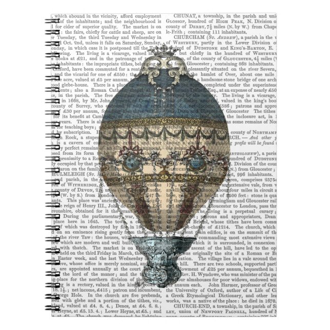 Baroque Fantasy Balloon 2 2 Notebook (Front)