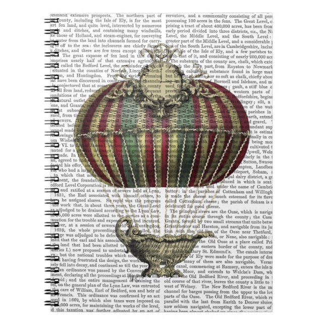 Baroque Fantasy Balloon 4 Notebook (Front)
