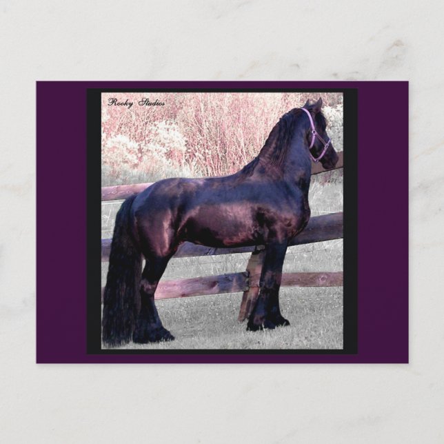 Baroque Horse Postcard, Customisable Postcard (Front)