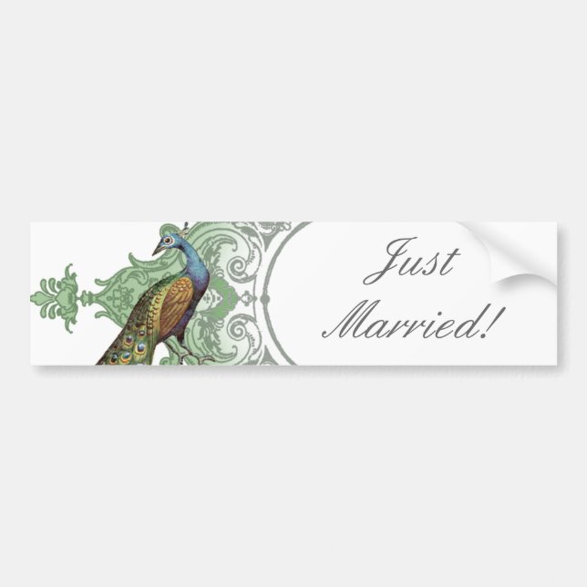 Baroque Peacock Just Married - aqua blue Bumper Sticker (Front)