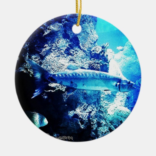 Barracuda Ceramic Tree Decoration (Front)