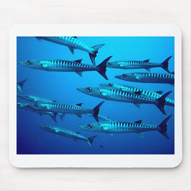 barracuda dive deep sea ocean water tropical wave mouse pad (Front)