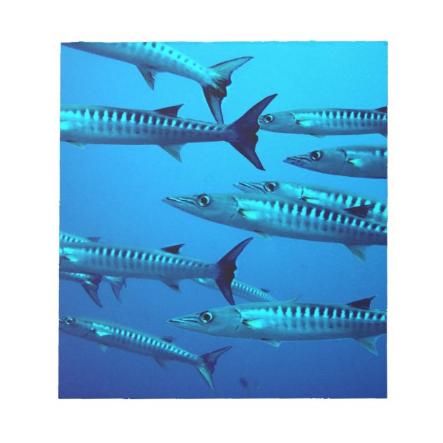barracuda dive deep sea ocean water tropical wave notepad (Front)