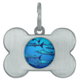 barracuda dive deep sea ocean water tropical wave pet name tag