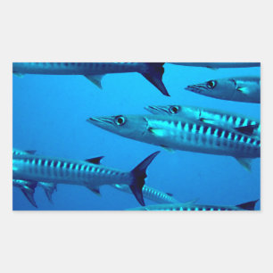 barracuda dive deep sea ocean water tropical wave rectangular sticker