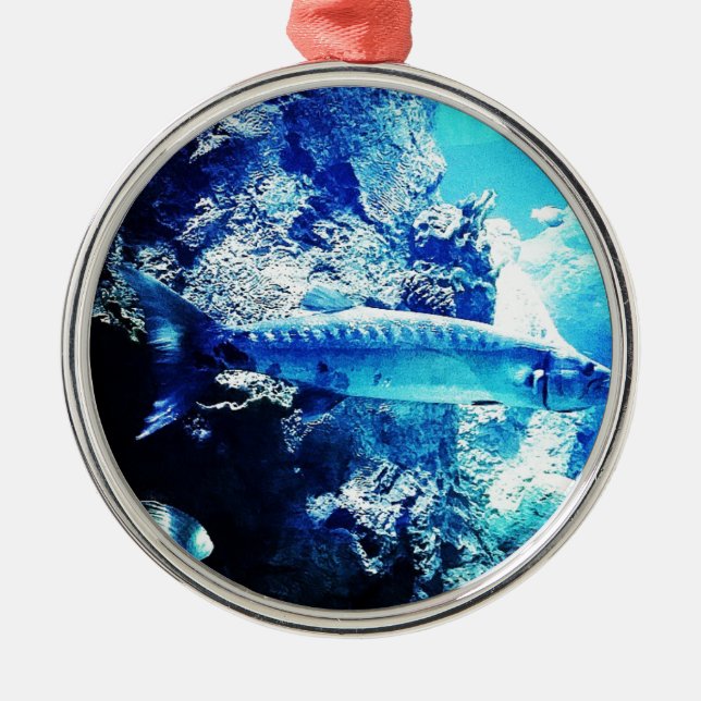 Barracuda Metal Ornament (Front)