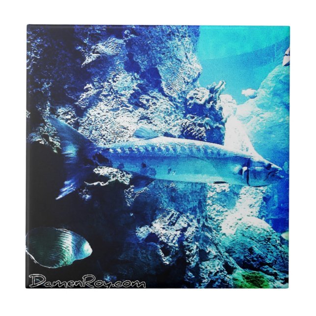 Barracuda Tile (Front)