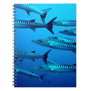 Barracudas Notebook