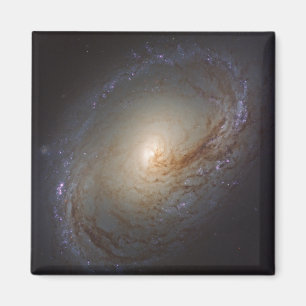 Barred Lenticular Galaxy Ngc 3368 Magnet