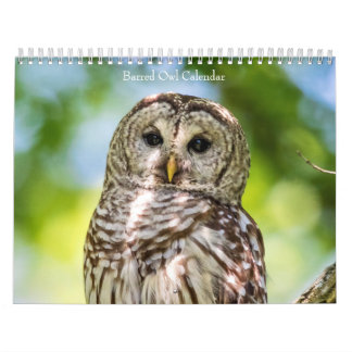 Barred Owl 2026 Calendar