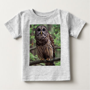 Barred Owl Baby T-Shirt