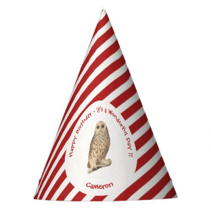 Barred Owl - Birthday or Other Party Themed Event Hat