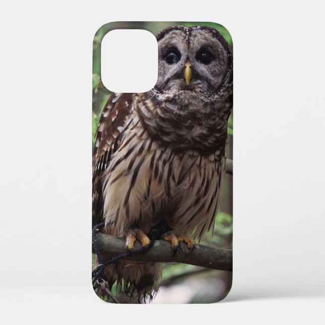 Barred Owl Case-Mate iPhone Case (Back)