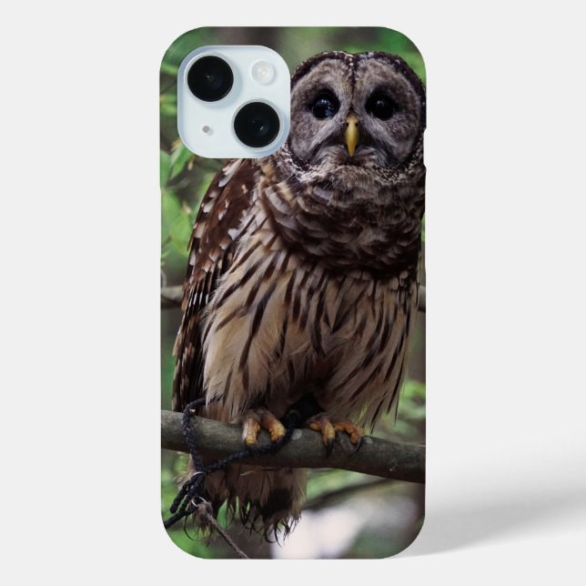 Barred Owl Case-Mate iPhone Case (Back)