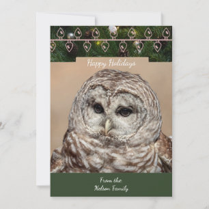 Barred Owl  Christmas Card