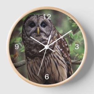 Barred Owl Clock