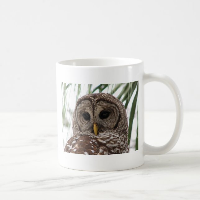 Barred Owl Coffee Mug (Right)