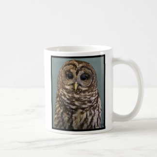 Barred Owl Coffee Mug