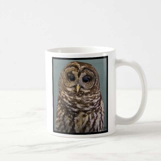 Barred Owl Coffee Mug (Right)