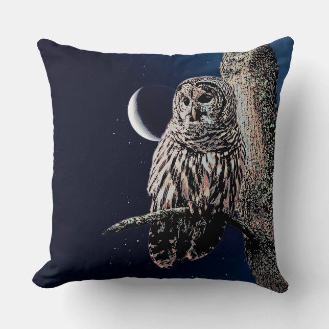 Barred Owl Crescent Moon Night Sky Cushion (Front)