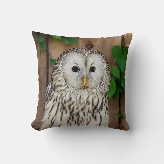 Barred Owl Cushion (Front)
