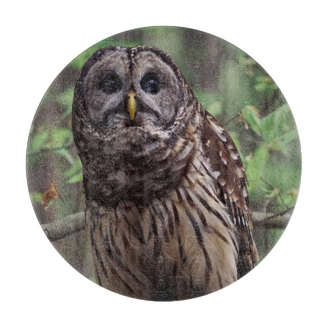 Barred Owl Cutting Board (Front)