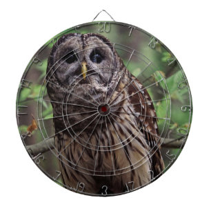 Barred Owl Dartboard