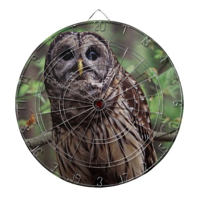 Barred Owl Dartboard (Front)