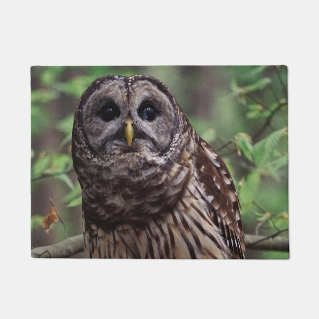 Barred Owl Doormat (Front)