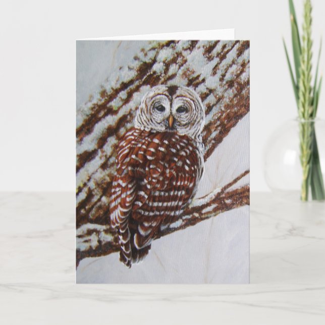 Barred Owl Greeting Card -blank inside (Front)