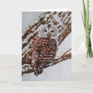 Barred Owl Greeting Card -blank inside