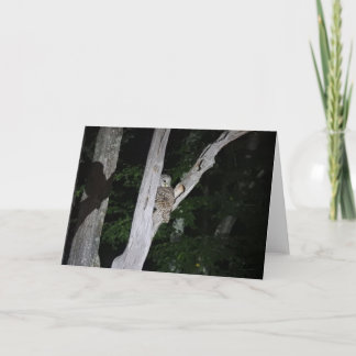 Barred Owl Greeting Card, Blank Inside Card
