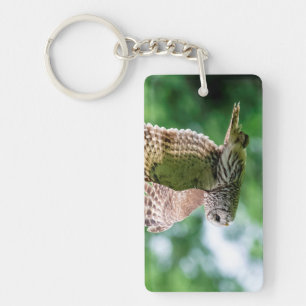 Barred Owl in flight Key Ring