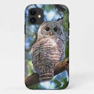 Barred Owl in the Forest iPhone 11 Case