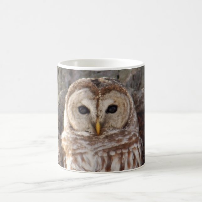 Barred Owl in Tree Mug (Center)