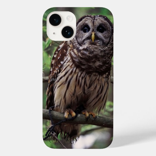Barred Owl iPhone 14 Case (Back)