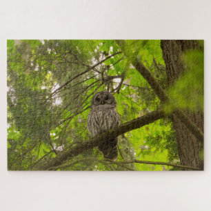 Barred Owl Jigsaw Puzzle