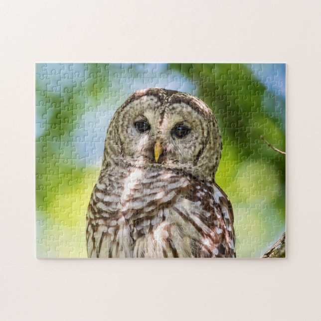 Barred Owl Jigsaw Puzzle (Horizontal)