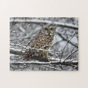 Barred Owl Jigsaw Puzzle