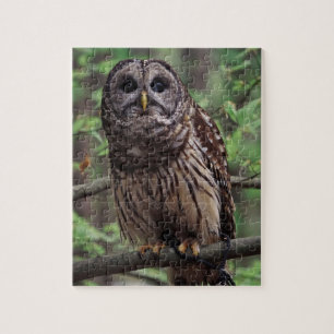 Barred Owl Jigsaw Puzzle
