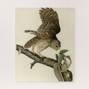 Barred Owl, John James Audubon's Birds of America Jigsaw Puzzle