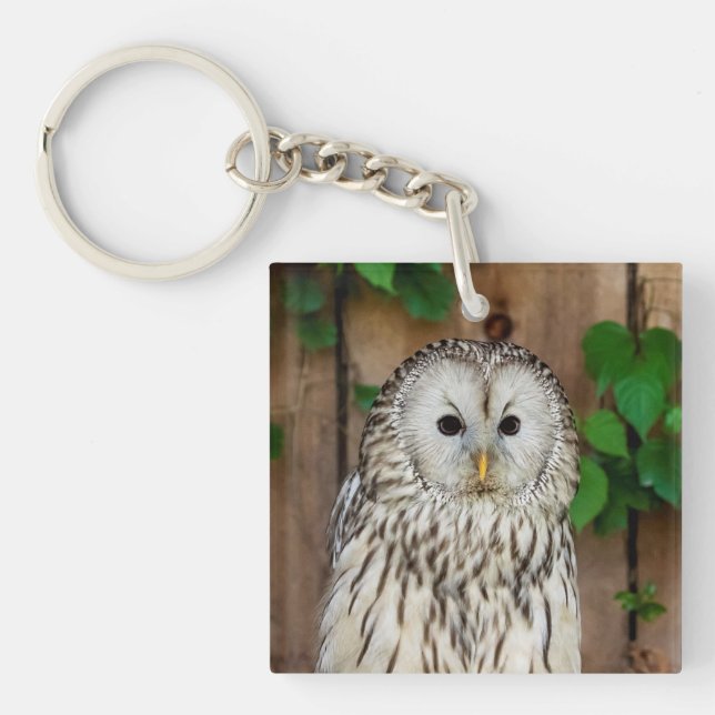 Barred Owl Key Ring (Front)
