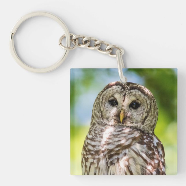 Barred Owl Key Ring (Front)