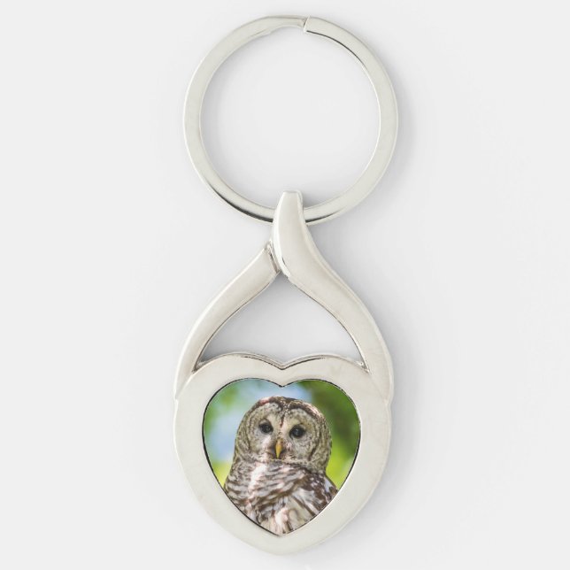 Barred Owl Key Ring (Front)