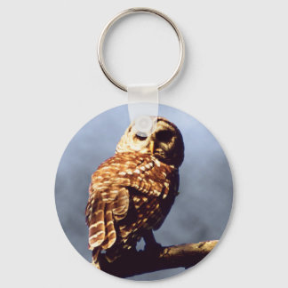 Barred Owl Keychain