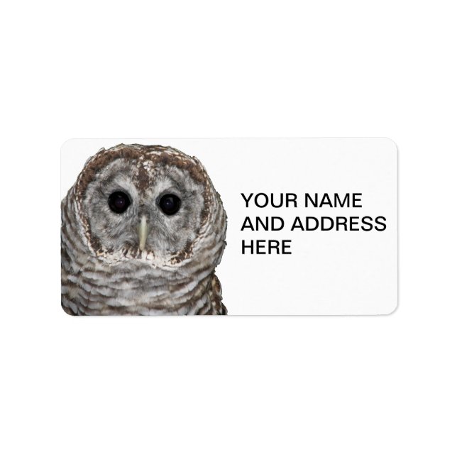 Barred Owl Label (Front)