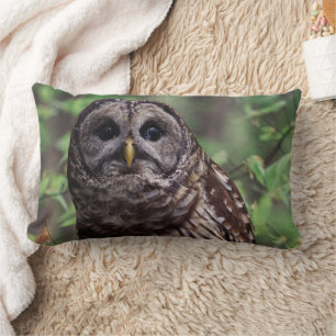 Barred Owl Lumbar Cushion